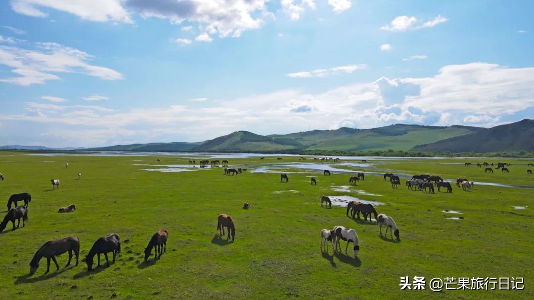 内蒙古有座容易被忽略的城市，与俄罗斯交界，名气不大但风景绝美