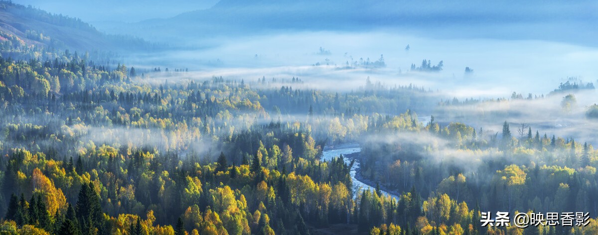 5年运营经验，总结出7条自媒体运营技巧，让你玩转内容运营