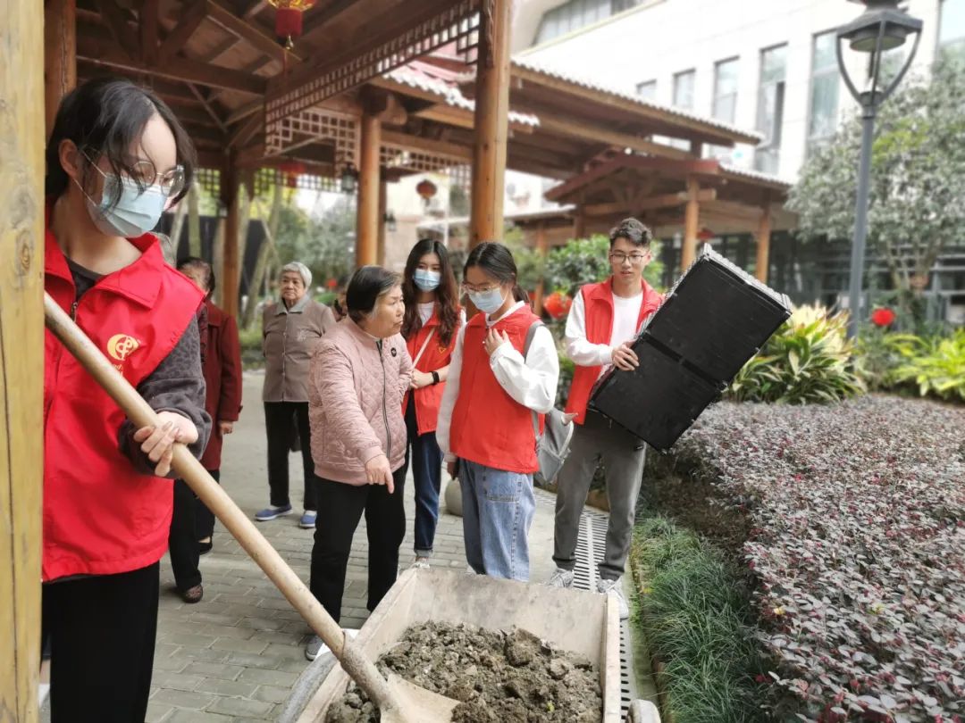 不亦乐乎！养老院可以种菜了