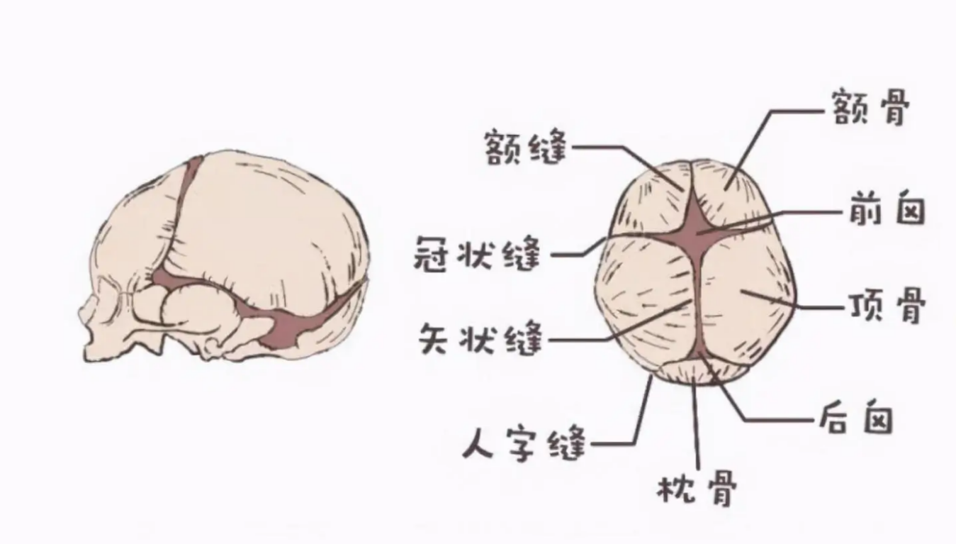 宝宝囟门=命门！理发，洗头都要注意，小心造成严重后果