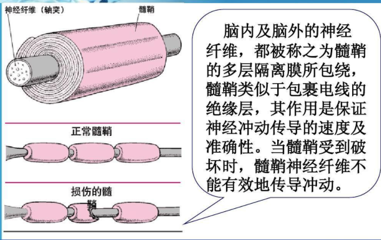 发现大脑有病可以不用治？医生：4种脑病别被骗，让你不花冤枉钱