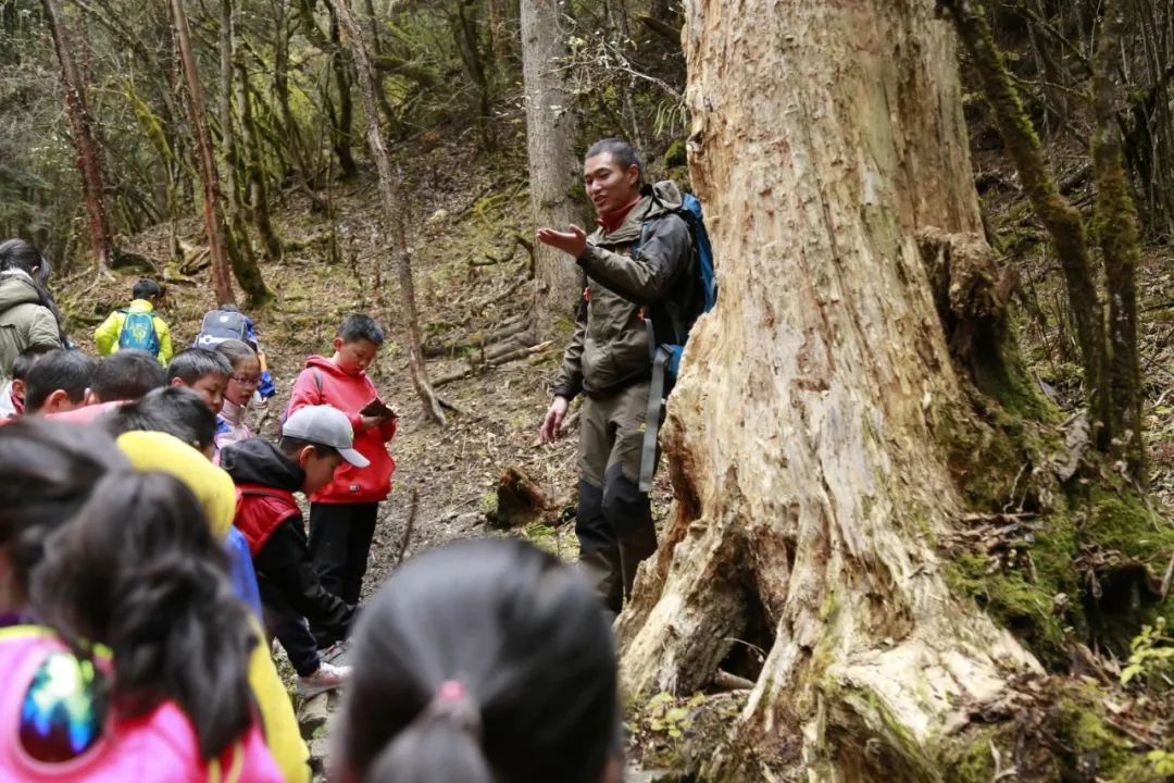 双减不简 综合实践 |双流区棠湖小学综合实践活动课程系列报道