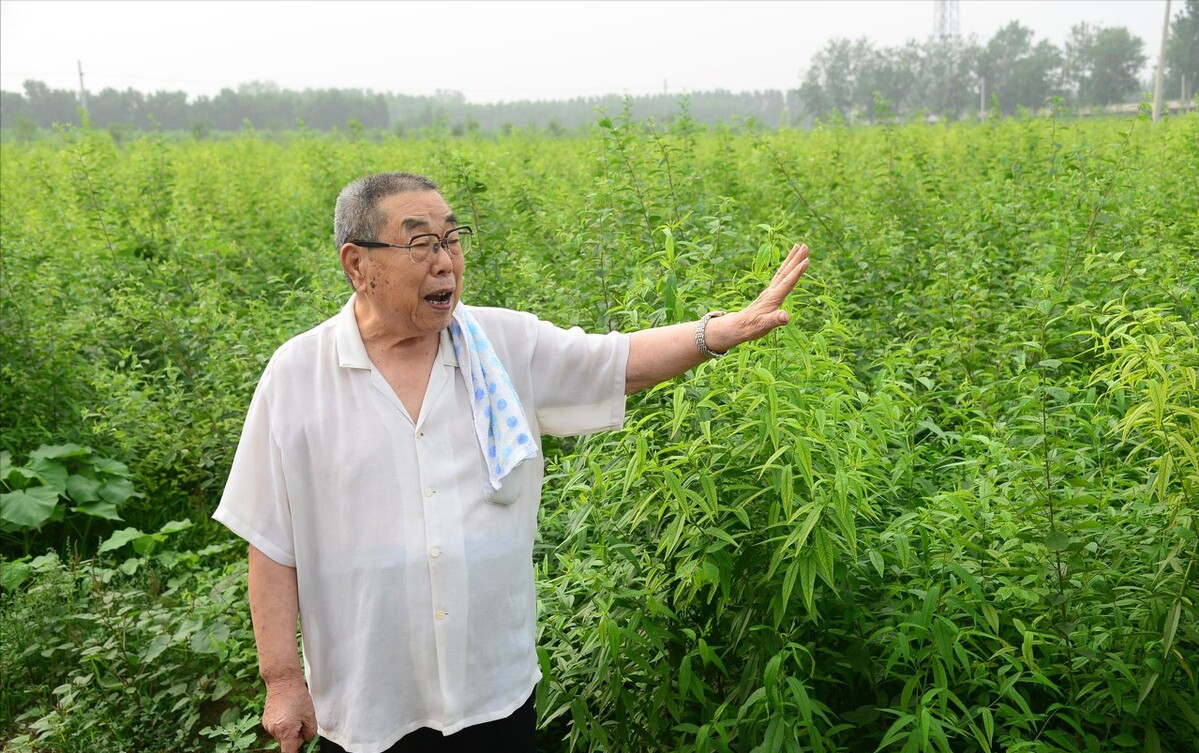 土地流转是趋势，但农民有3种流转行为不被认可，土地可能被收回