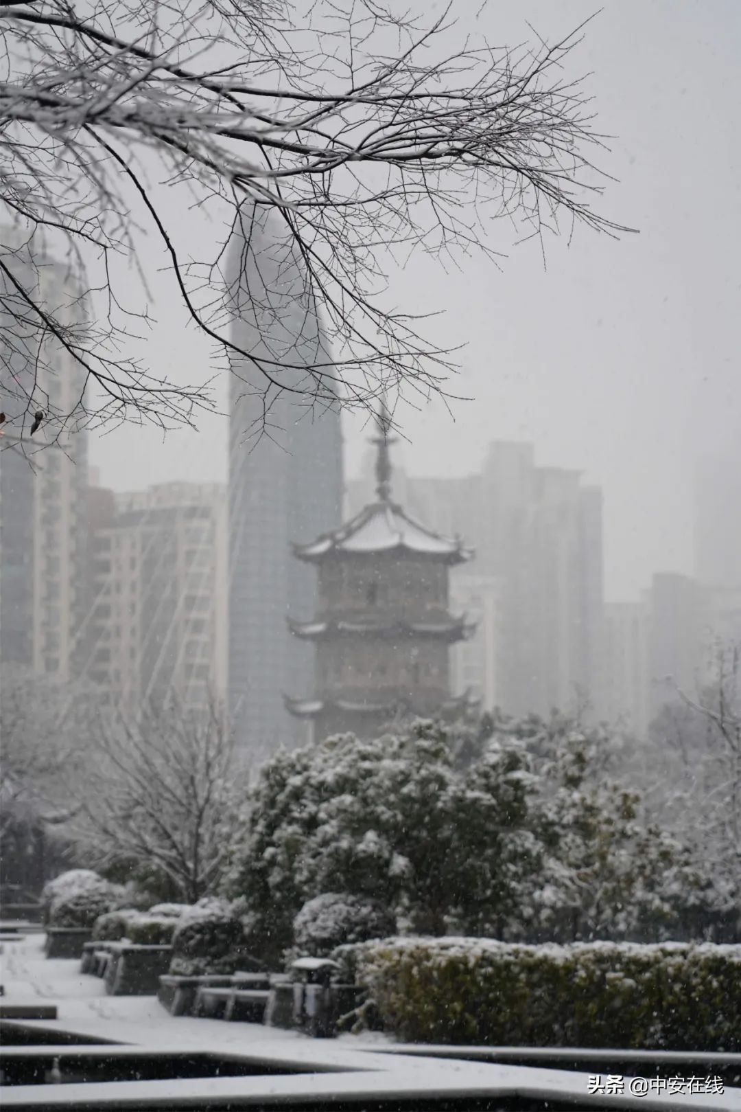 芜湖这场雪 下得太认真