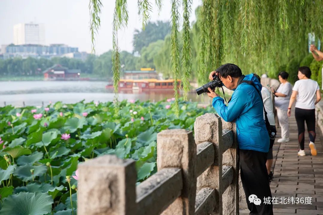 入伏了，与济南来一场泉水之约