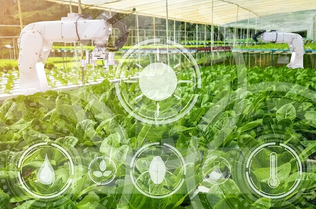 绿色农业市场规模或达6万亿元；区块链技术：如何赋能农产品