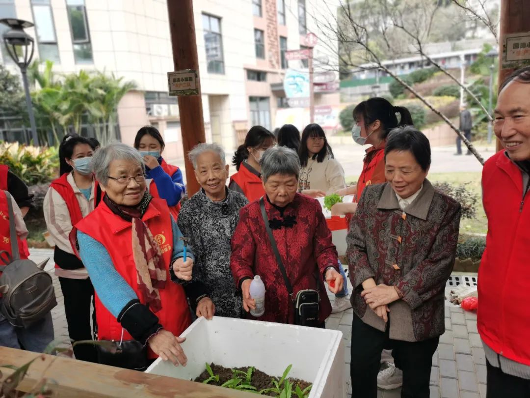 不亦乐乎！养老院可以种菜了