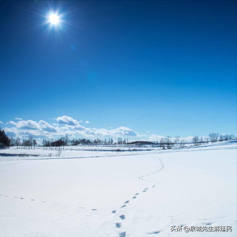 「世态炎凉」大雪，阳光灿烂
