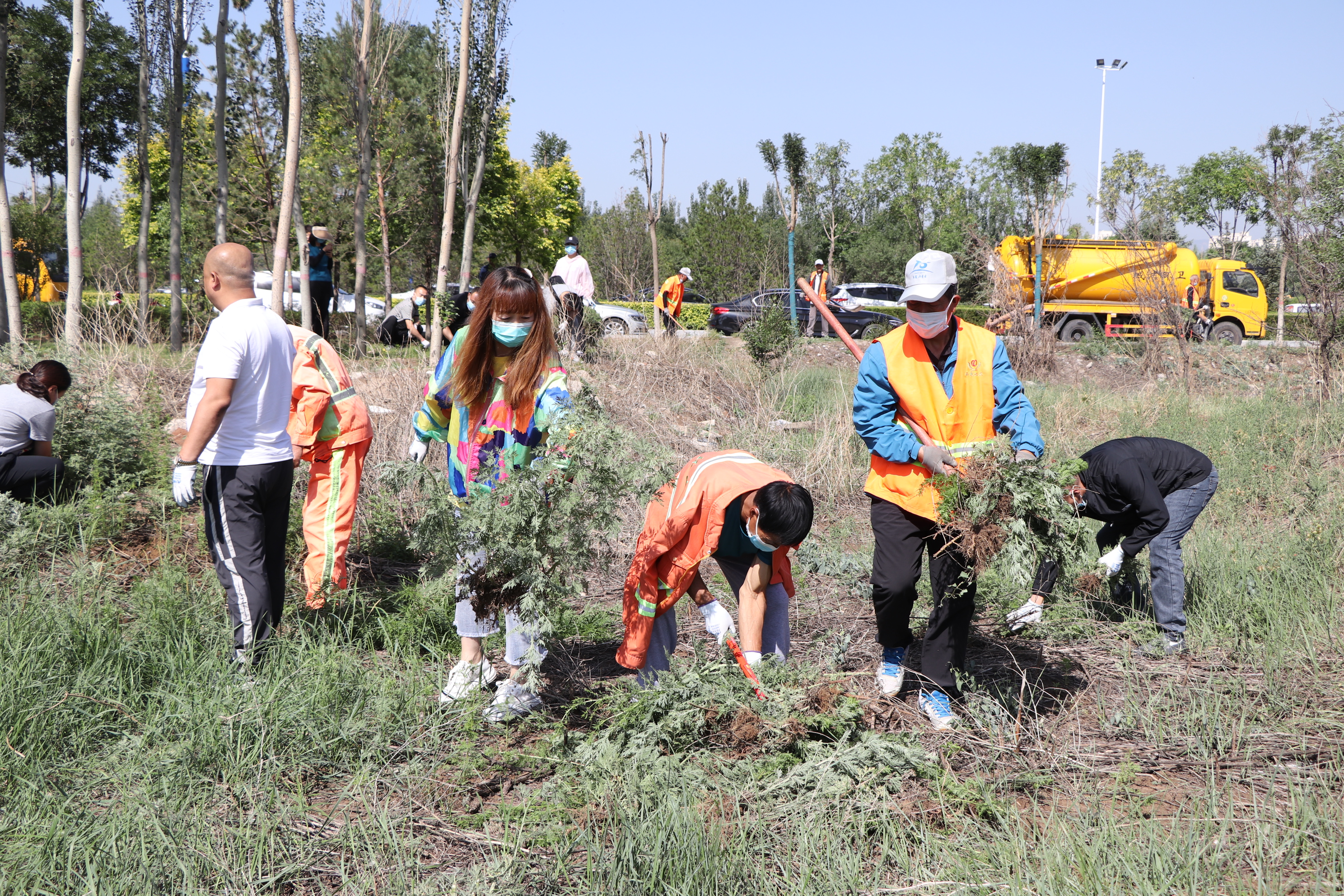 开展城乡环境卫生综合整治清除蒿草垃圾专项行动-玉泉区-内蒙古新闻网