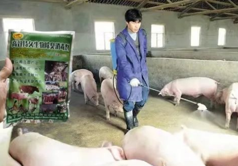 夏季蚊蝇不除，疾病不断，猪场如何更有效消灭蚊蝇？