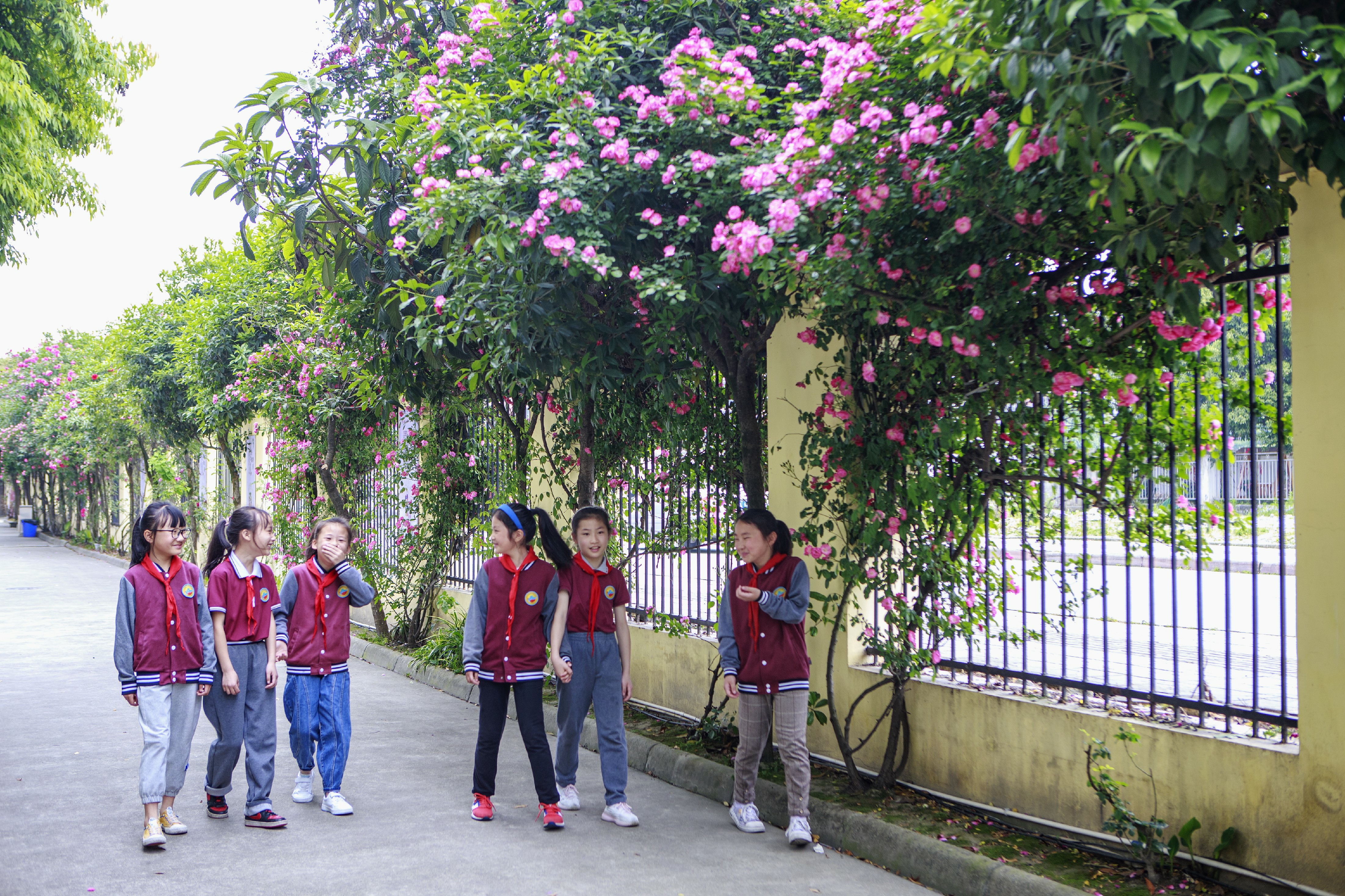 写阳光校园的优美句子