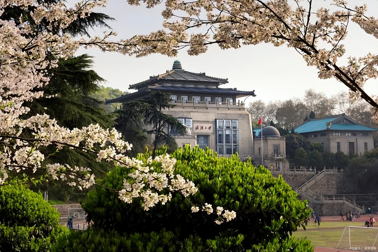 湖北四所大学毕业证一文不值，已被官媒点名曝光，家长报考需谨慎