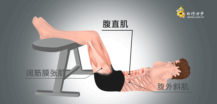 锻炼肌肉:腹直肌,腹外斜肌,阔筋膜张肌.