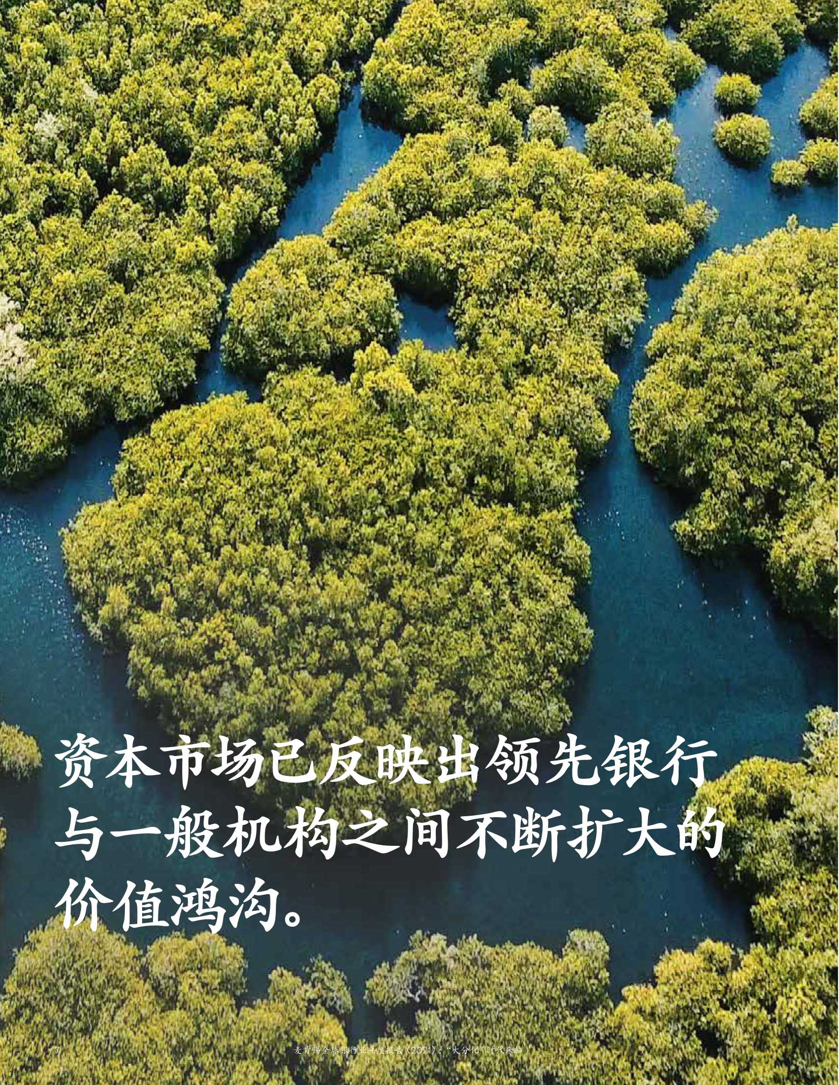 2021麦肯锡全球银行业年度报告：“大分化”时代来临