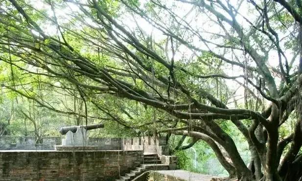 深圳这22个地方真美，可以徒步穿越，看海，地铁直达，无门票