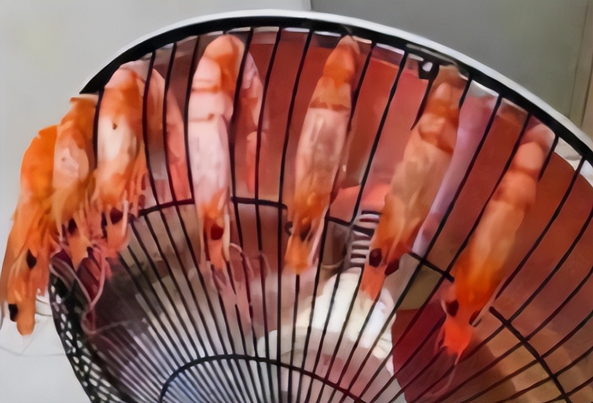 大学生寝室奇葩操作，老师突击查寝现端倪，网友：被埋没的发明家