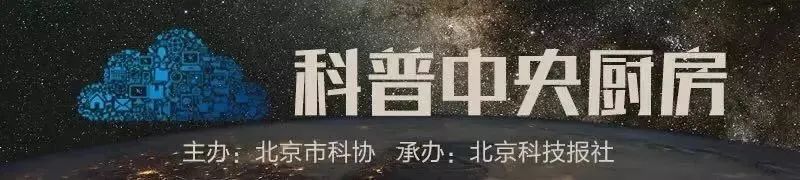 旋转、跳跃，不停歇！一文看清花样滑冰的那些“花样”