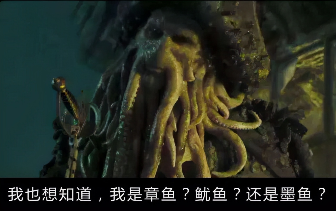 如何区分章鱼、墨鱼、鱿鱼、八爪鱼？它们有什么不同