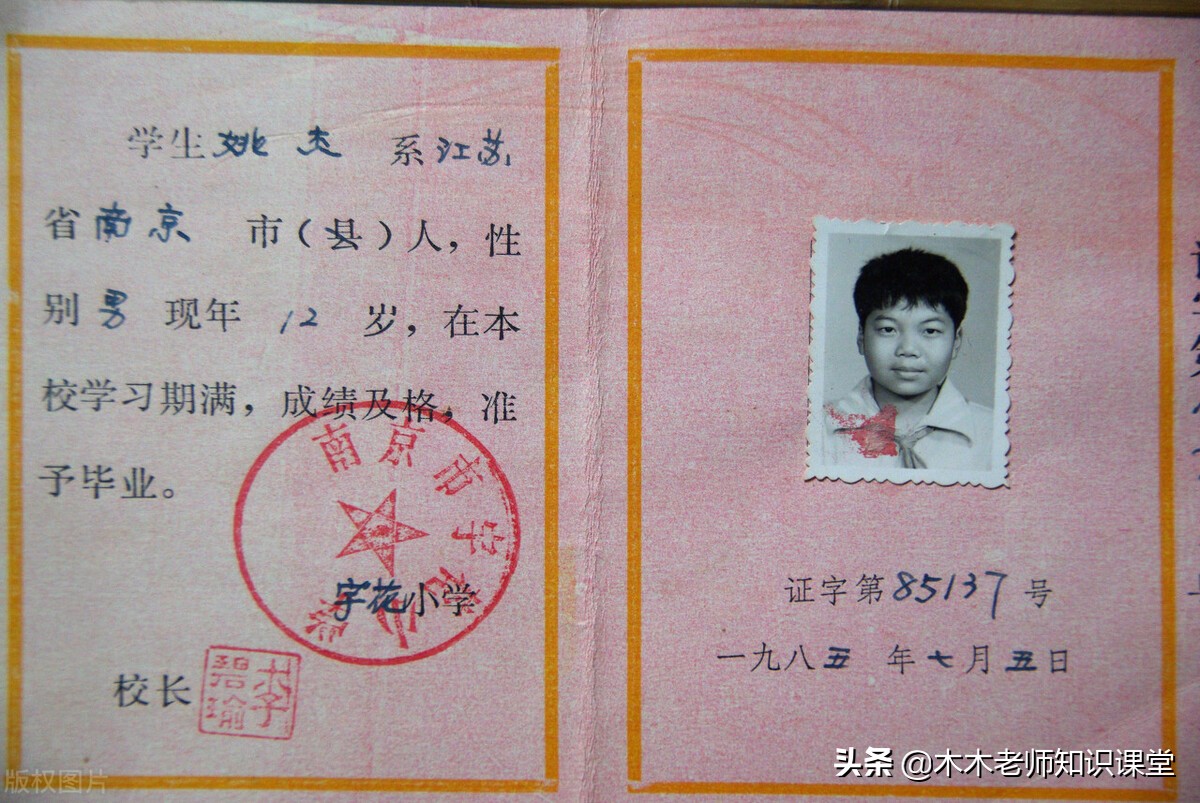 身份证件类型,身份证件类型怎么填写