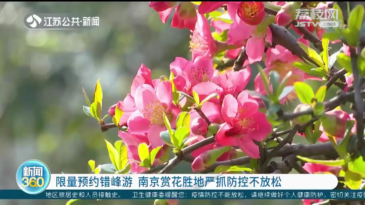 限量预约错峰游 南京赏花胜地严抓防控不放松