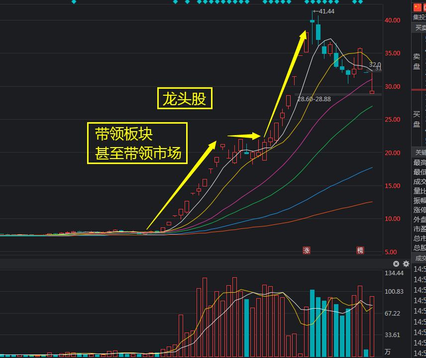 龙头股怎么玩——如何识别龙头股？