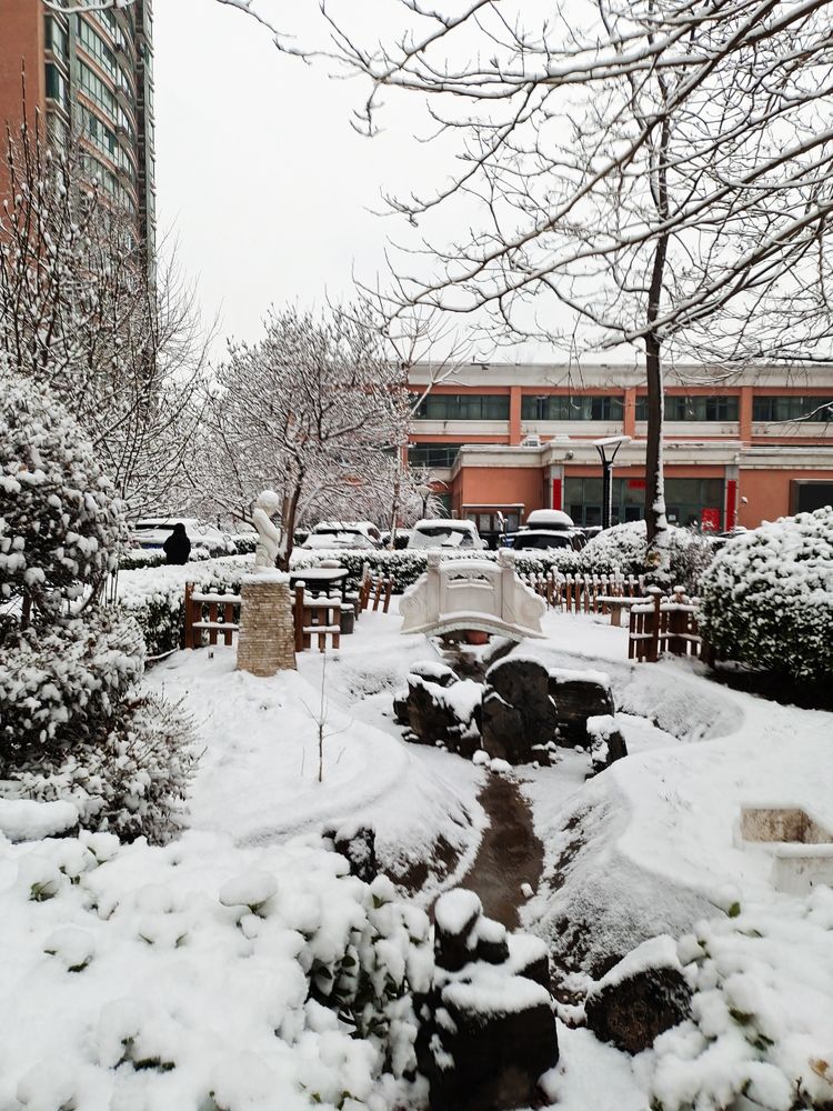一场雪，让这里的春天真美 摄影/诗文：李武兵