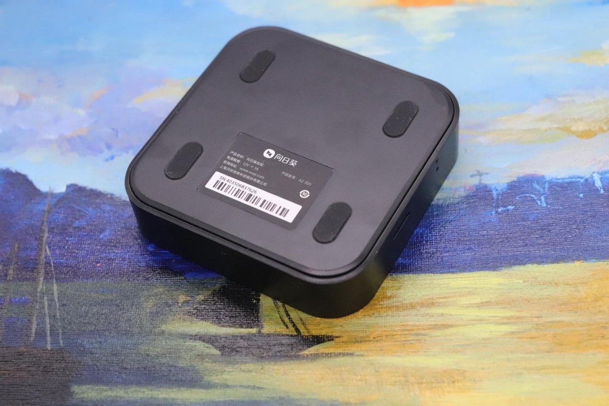 内网主机也能远程控制？带你体验向日葵控控A2就知道了