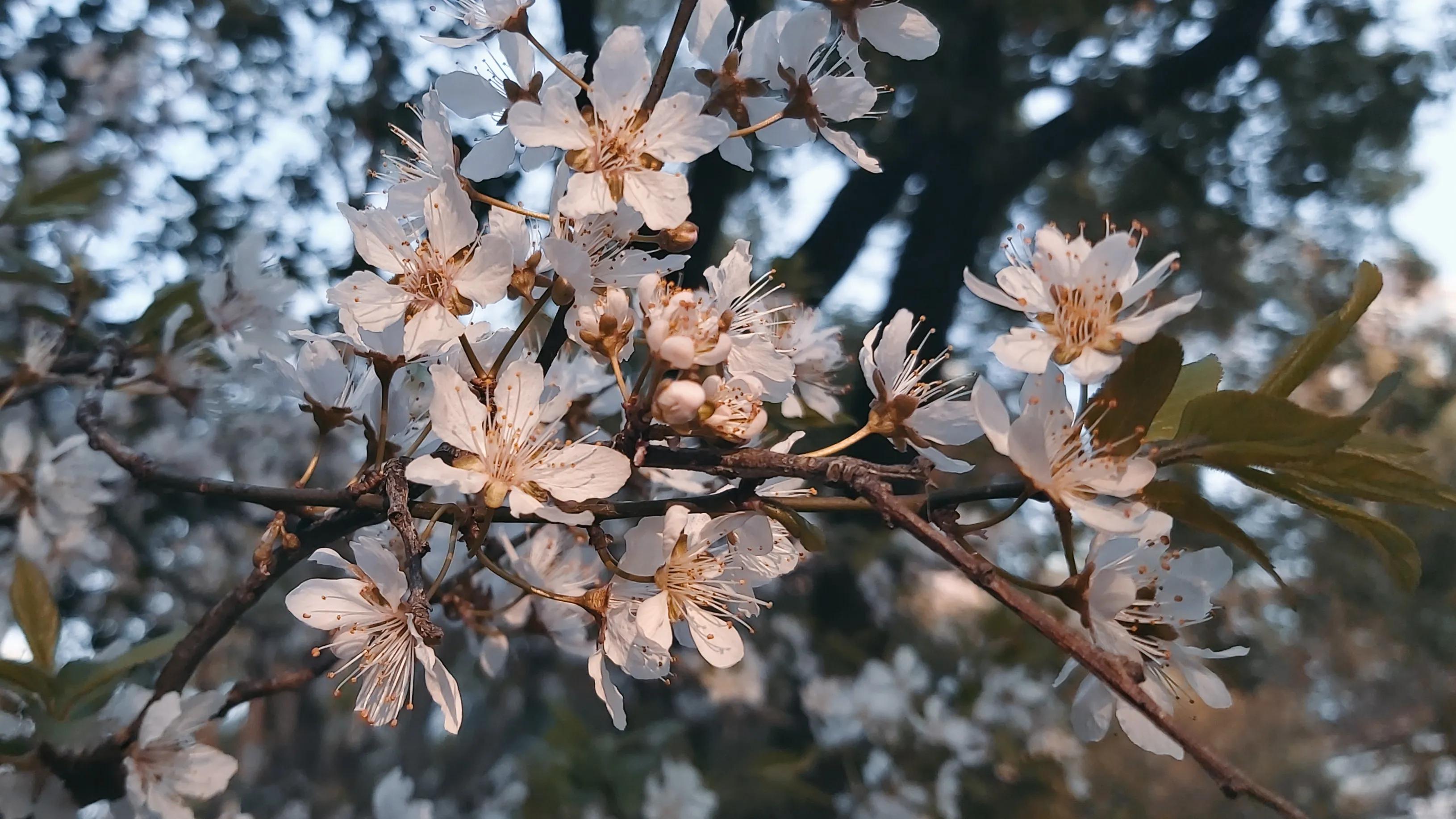 在上海你的朋友圈，还没有被芭比Q的亲友，只能说你太圈子太小