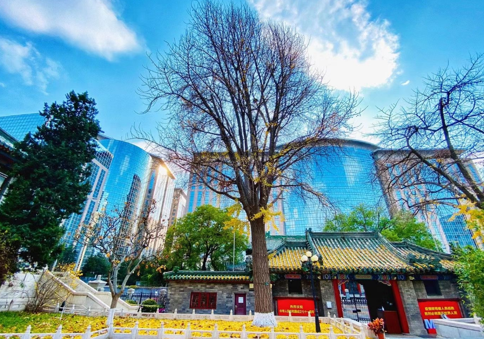 全国医药类大学排名前30强：协和稳居第一，考上就业不愁