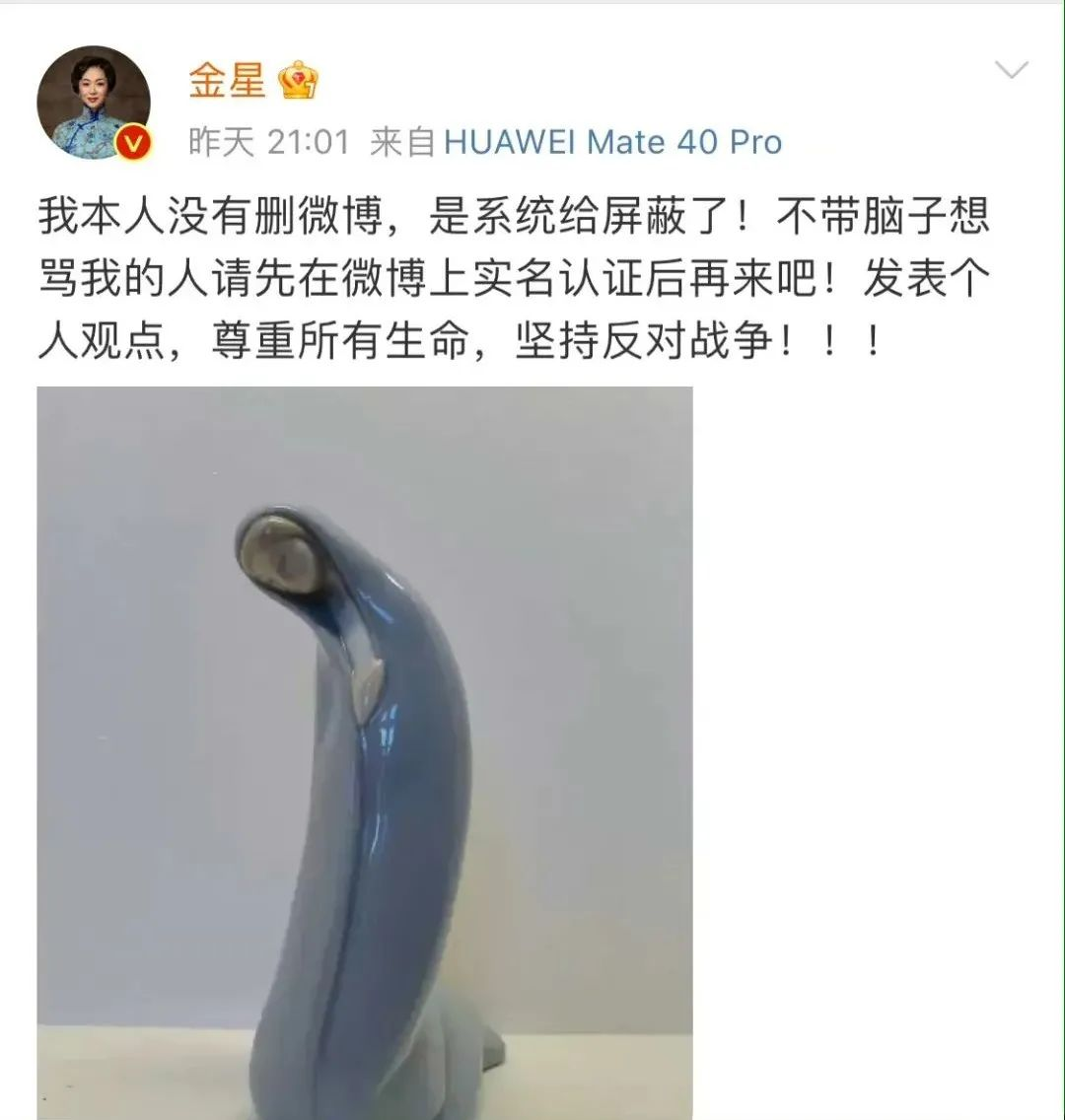 台媒:金星曾因“反战”遭围剿,不惧网暴再度喊话“当人拒绝思考,大灾难就不远了”(组图) - 11