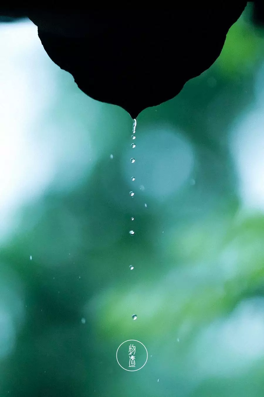 如今再沐浴春雨中,輕輕潤潤,才發覺雨落下來,是有溫度,有情意的