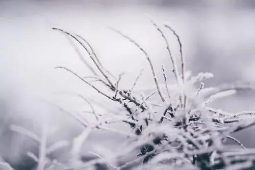 七绝·雪天随笔 (六首)