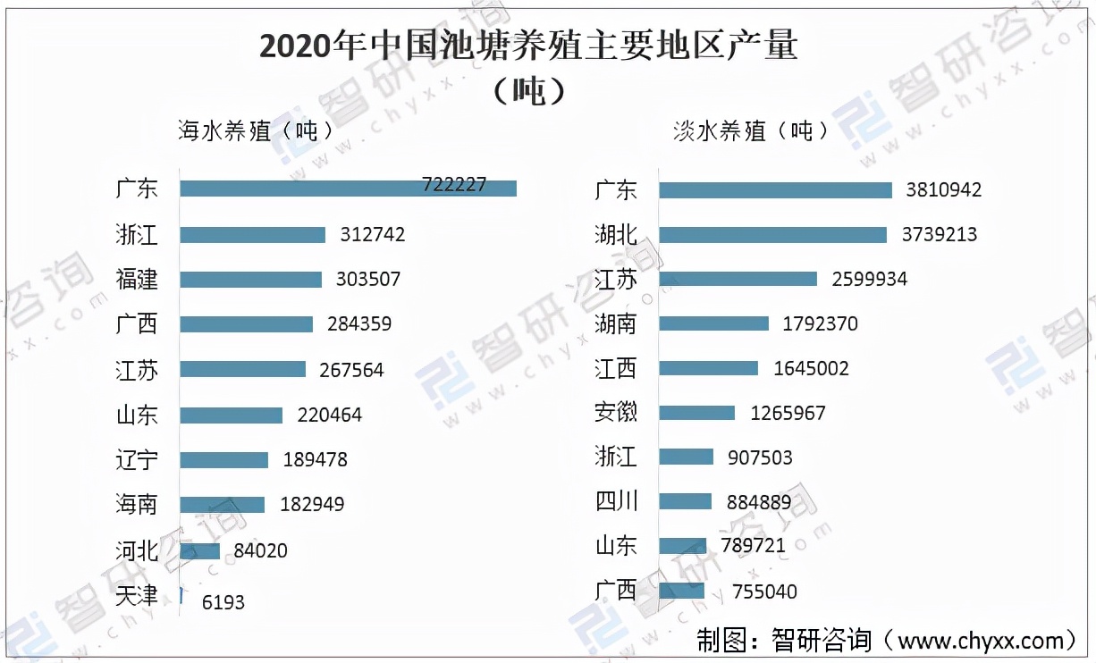 2020年中國池塘養(yǎng)殖行業(yè)現(xiàn)狀分析：養(yǎng)殖面積及產(chǎn)量雙增長「圖」