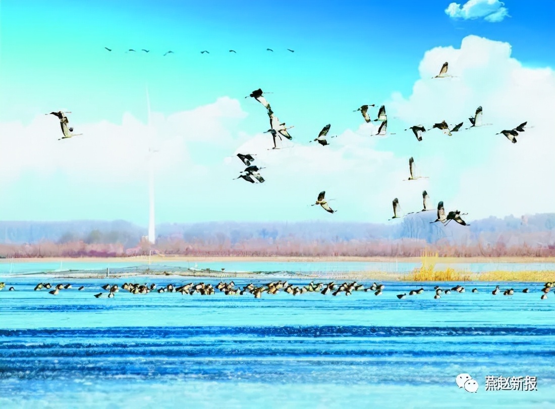 桑干河儿女 怀念平凡而伟大的母亲