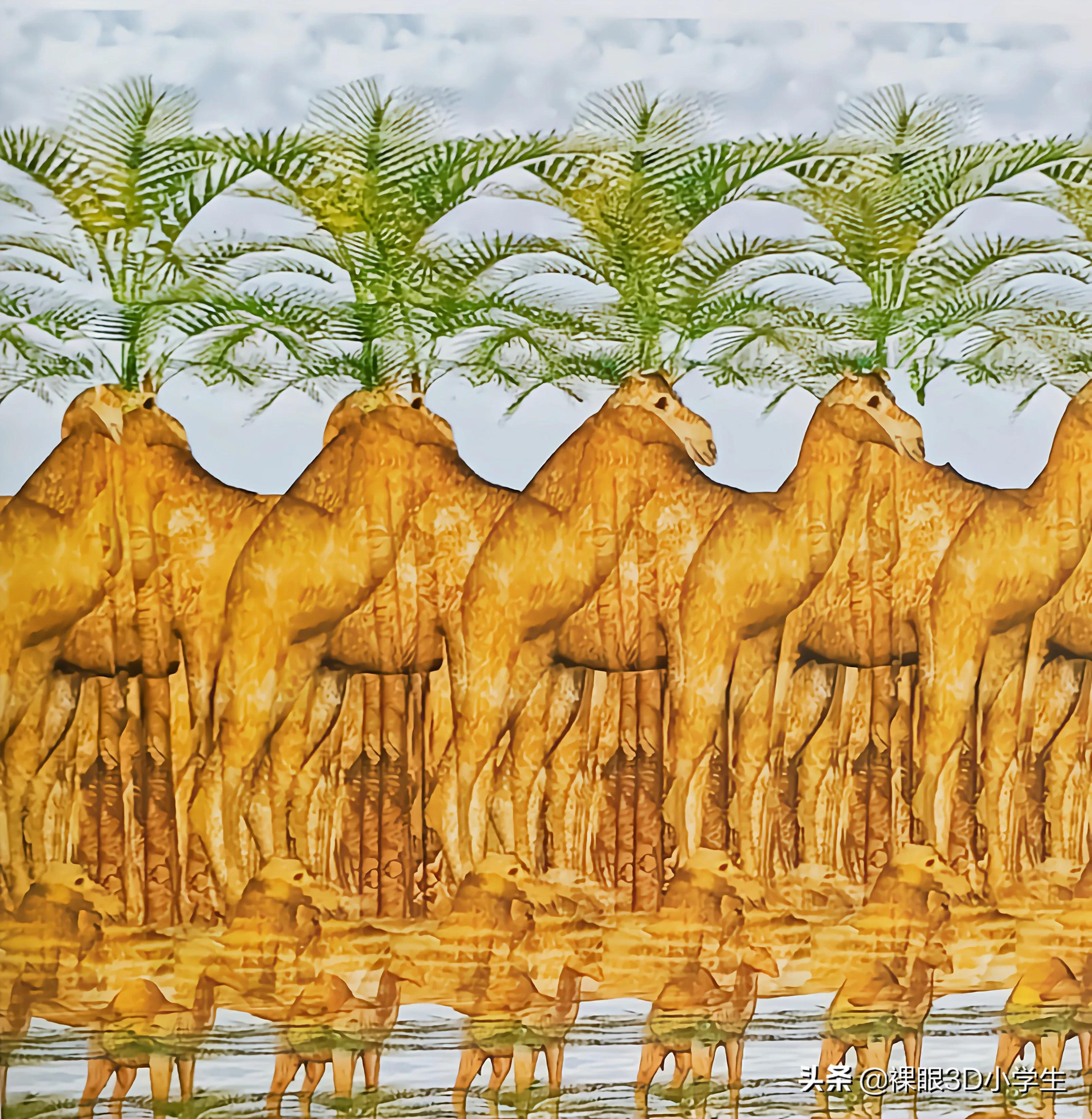 三维立体图欣赏(精选三维立体图,不漂亮的通通不要)