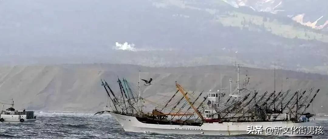 美国很生气，煮熟的鸭子当着自己的面儿飞了