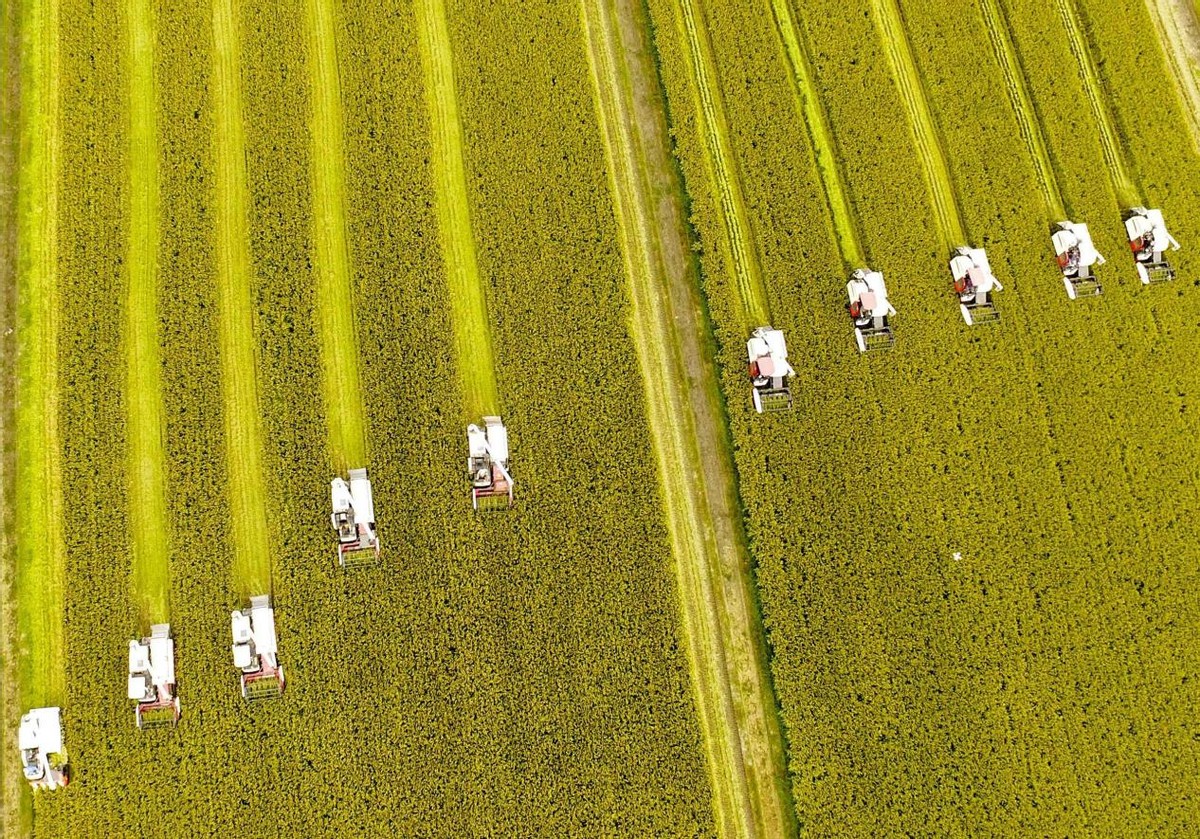 ˹١ӻġվӦԣйҲӦ