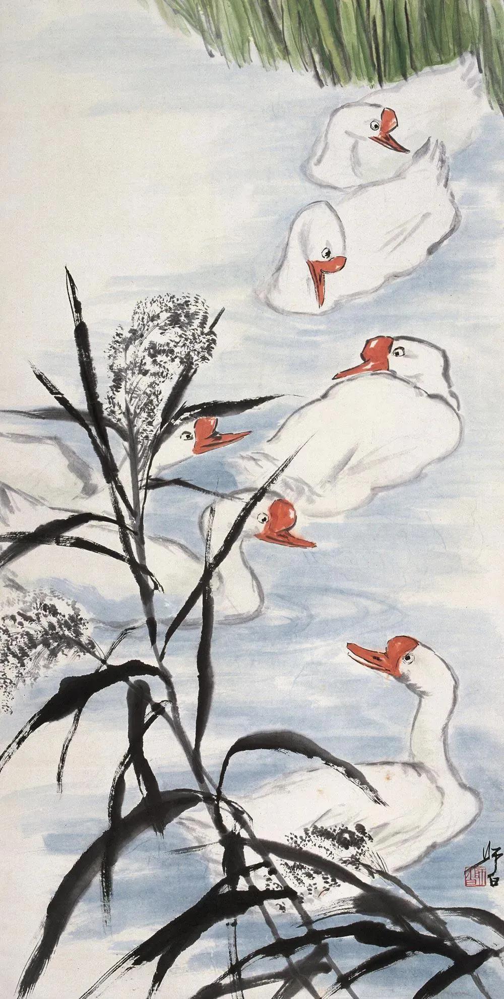 水中花白鹅，诗画溢欢歌：“白鹅”诗词20首，国画白鹅46幅