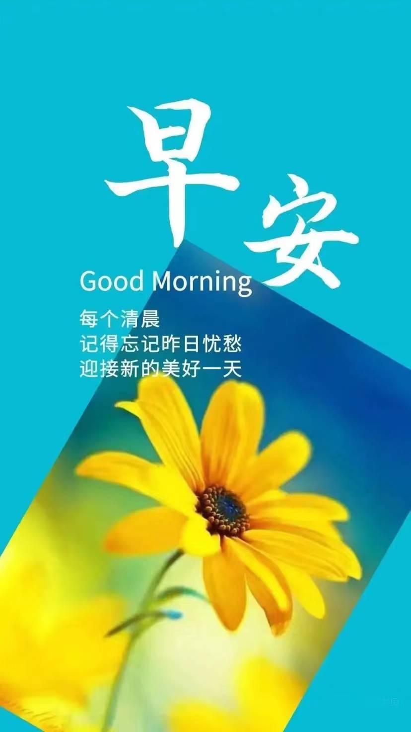 早安问候语 夏枝繁茂,去倾听,去发现生活无处不在的美好