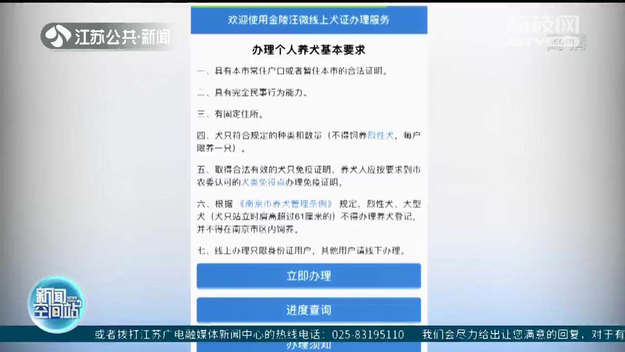 狗狗当街“流浪”主人被罚50元 提醒：犬证必须要在犬类生活当地办理