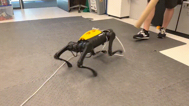 新出生的机器狗，打滚1小时后自己掌握走路，吴恩达大弟子成果