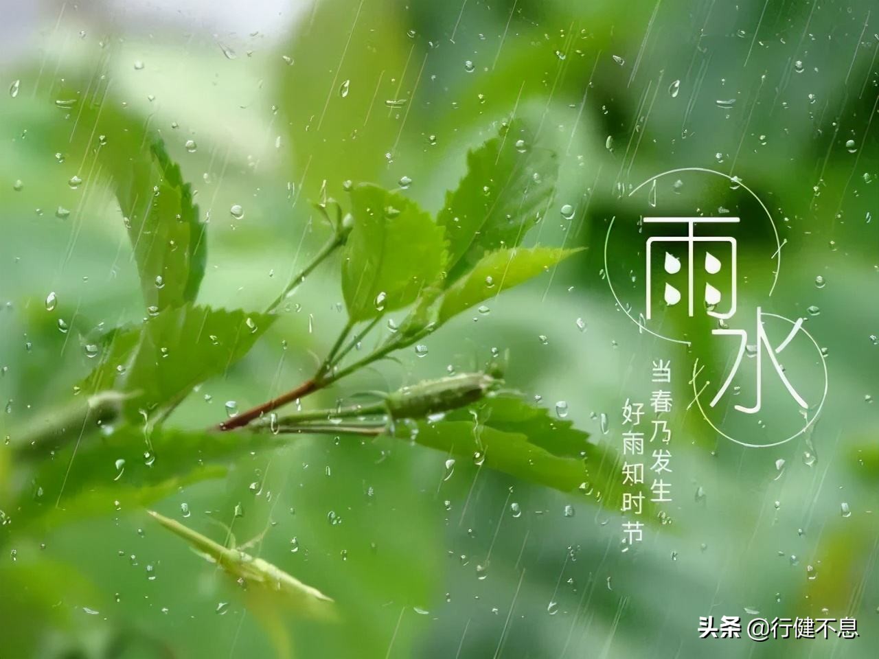 沾衣欲湿杏花雨：十二首著名的春雨诗词，展示大诗人的雨中情