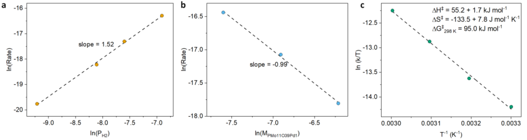 单原子催化！最新Angew，在原子尺度阐明催化新机理