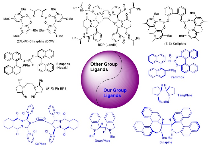 南方科技大学张绪穆教授近年来工作概览