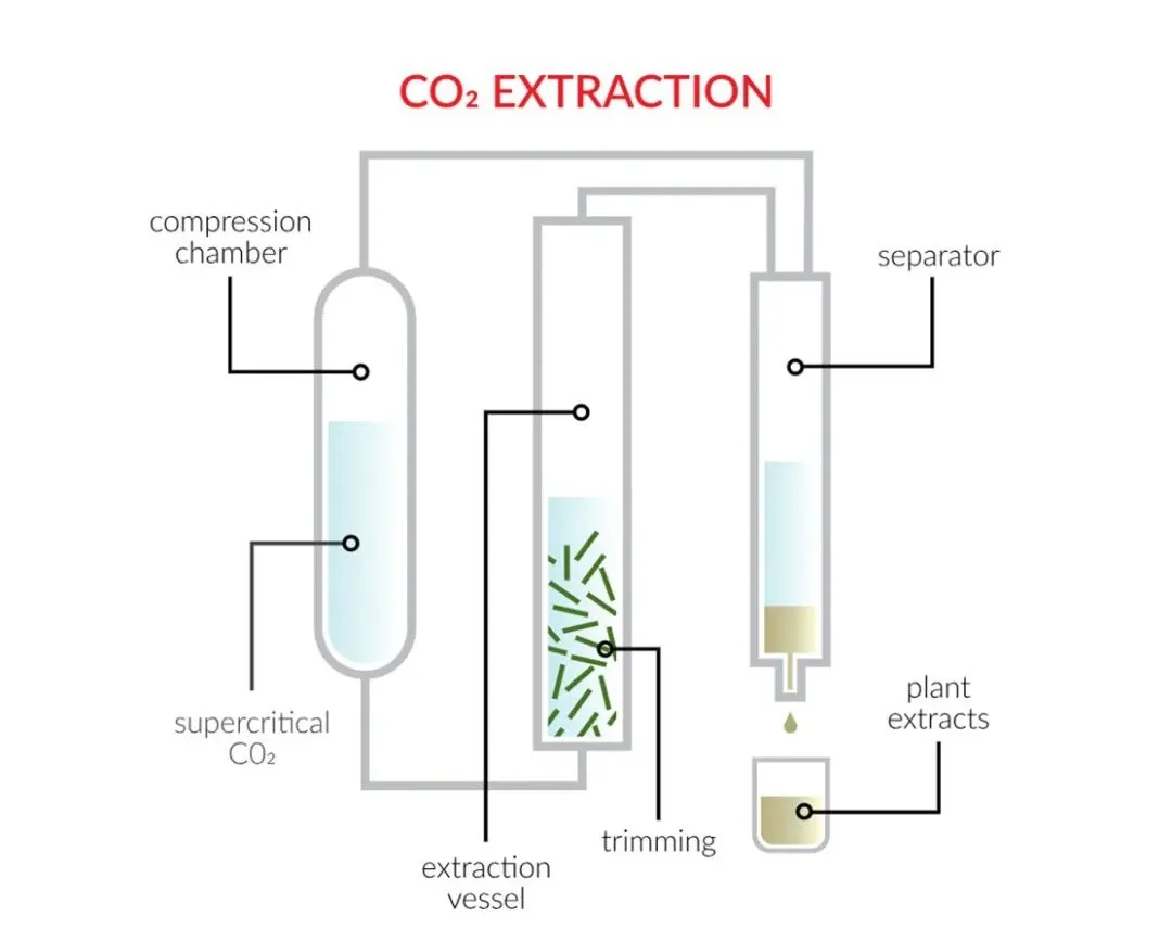 一枚薯条的猜想：超临界CO2准备掀翻传统冷链？| 技术前沿
