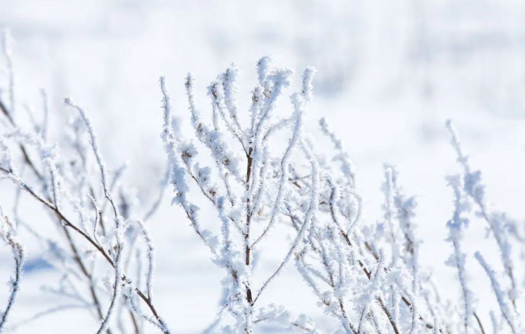 写雪最美的10首诗词，如冰如玉，纯美轻盈，美到灵魂里