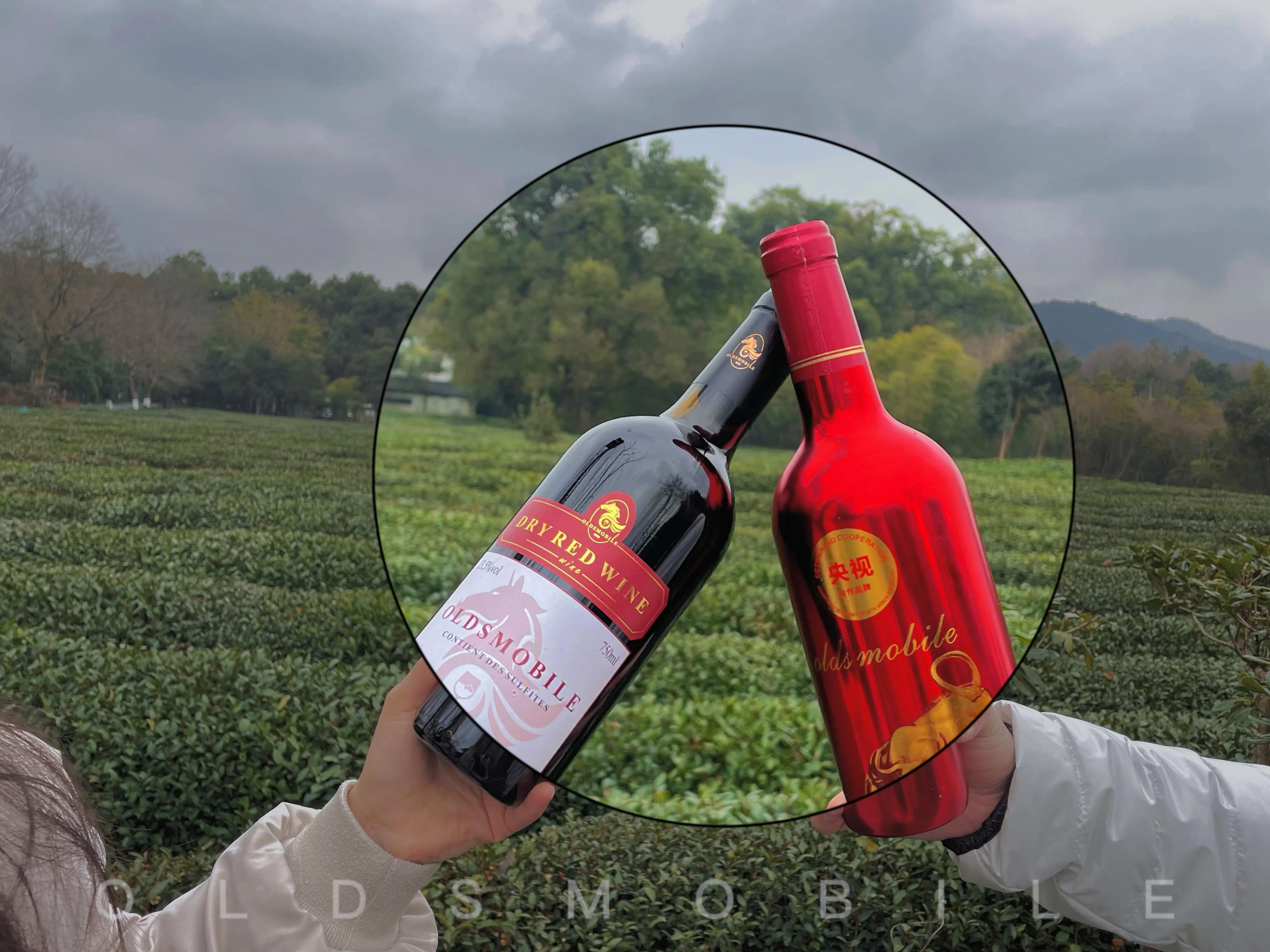 直击进口葡萄酒招商痛点｜探索法国红酒代理商的新出路