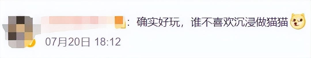 腾讯也撑不住？代理游戏一年半宣布停服，玩家：抄的也太离谱了