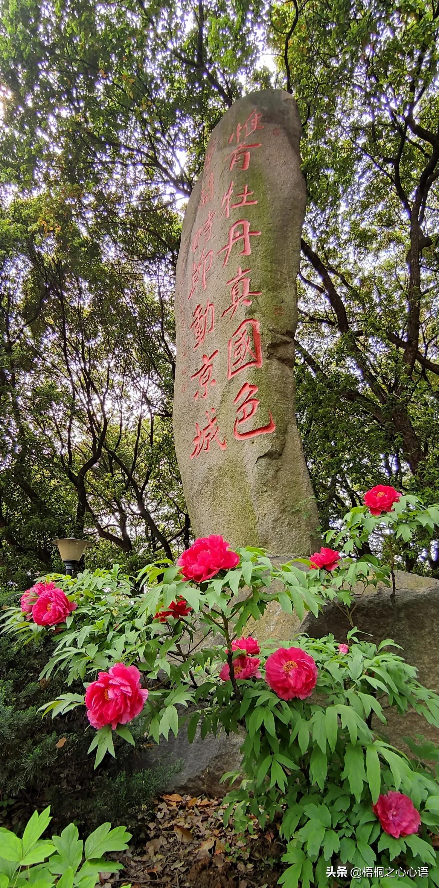 去年樱开时，那些漫妙记忆，此生许没再见时，存此让友情天长地久