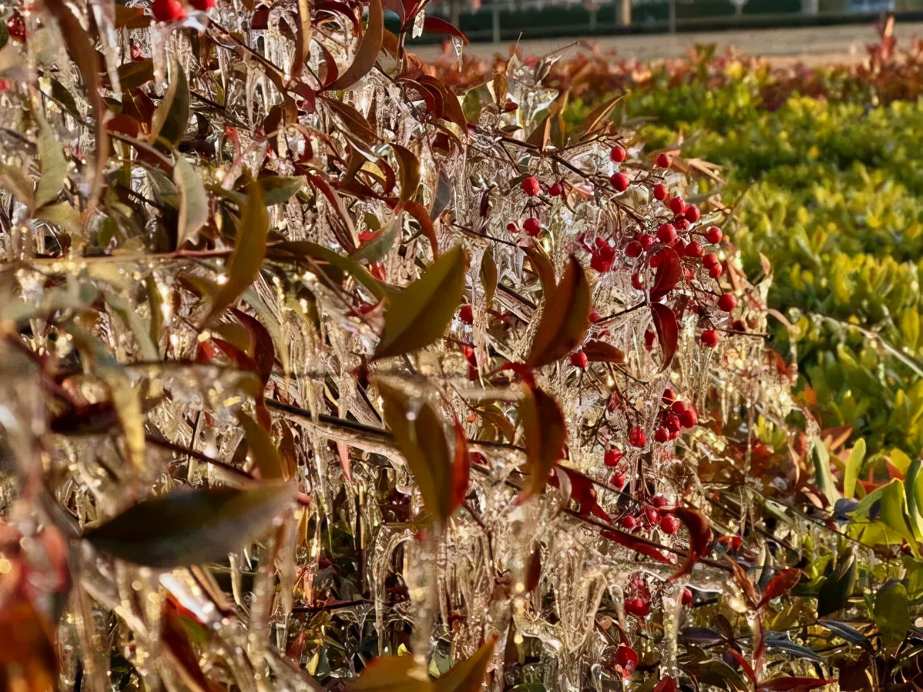 优微推荐丨努力尽今夕，少年犹可夸